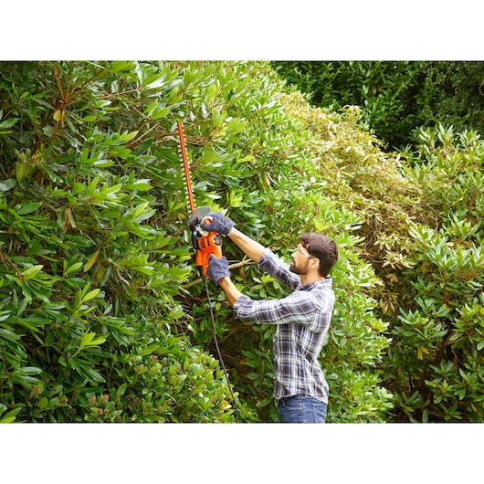 BLACKDECKER BEHT201 hedge trimmer in use cutting tall green bushes outdoors.