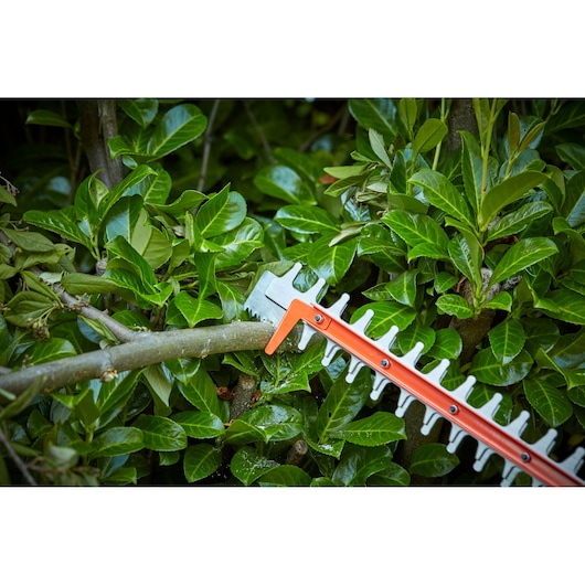 BLACKDECKER BEHTS551 hedge trimmer cutting thick branch in dense green foliage, close-up outdoor.